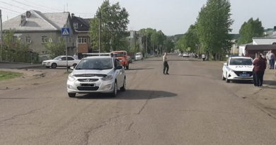 Девочка пострадала на пешеходном переходе в Берёзовском