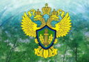 Кемеровская межрайонная природоохранная прокуратура проверила коттеджный поселок