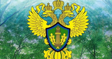 Кемеровская межрайонная природоохранная прокуратура проверила коттеджный поселок